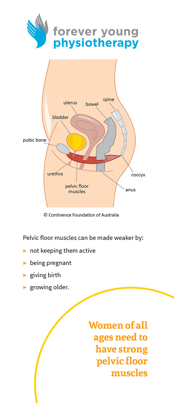 Pelvic Floor Muscle Training for Women